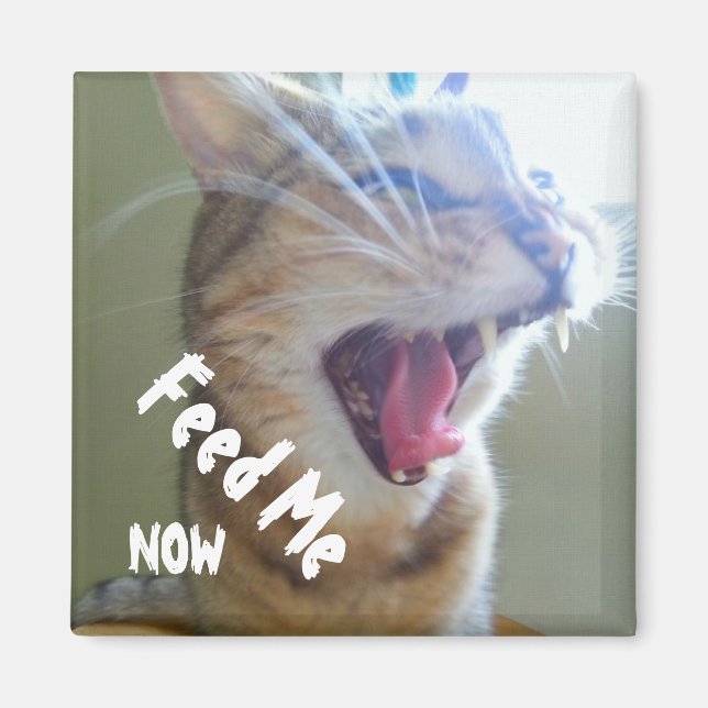 Mata mig nu magnet (Framsidan)