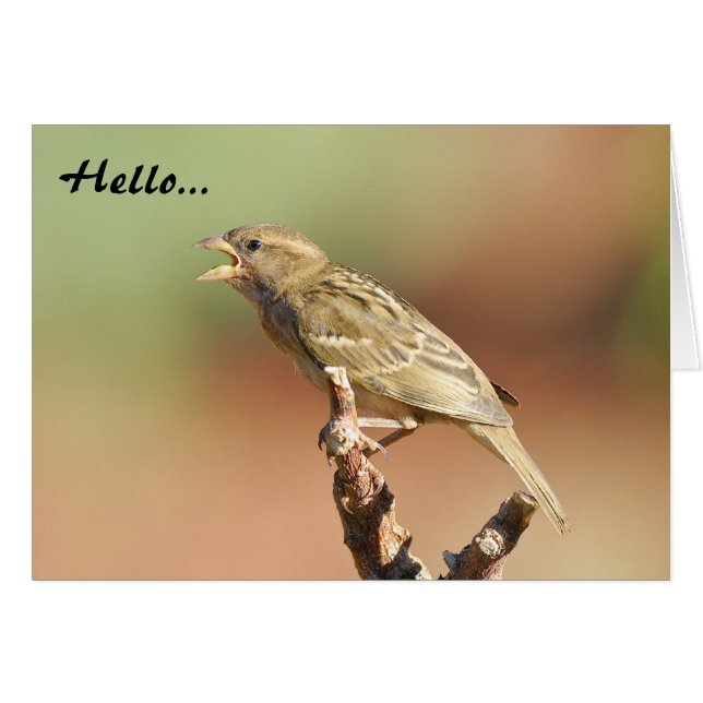 Mata mig! OBS kort (Framsidan Horizontal)