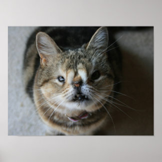 "Mata mig" Quasi Poster