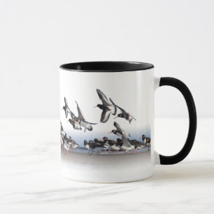 Mata Oystercatchers muggen Mugg
