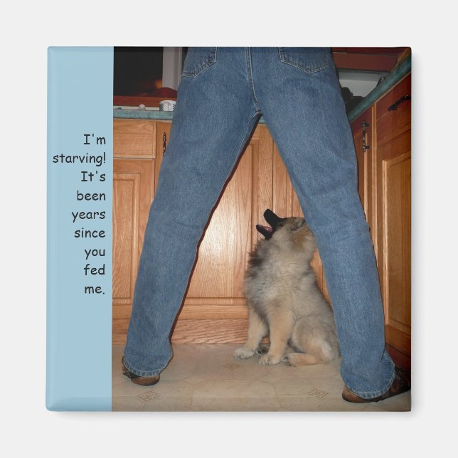 Mata Starving Hund Magnet (Framsidan)