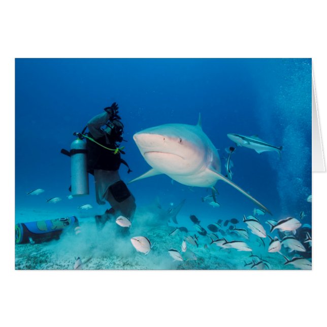 Mata tjuren hälsningskort (Framsidan Horizontal)