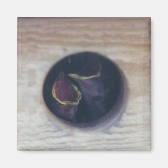 MATA USA! - magnet (Framsidan)