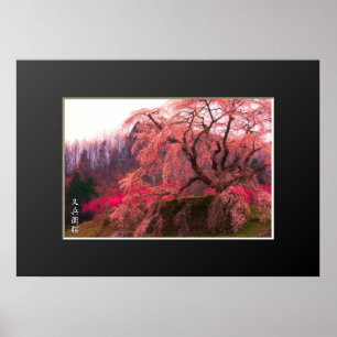 Matabei-Zakura: Vapenande Cherry Träd ポ ス ー タ Poster