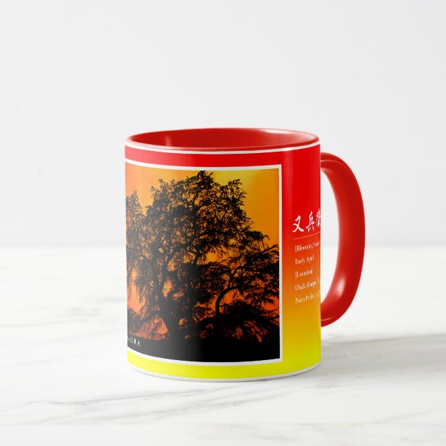 Matabei-Zakura Weeping Cherry Tree Mugg (Framsida höger)