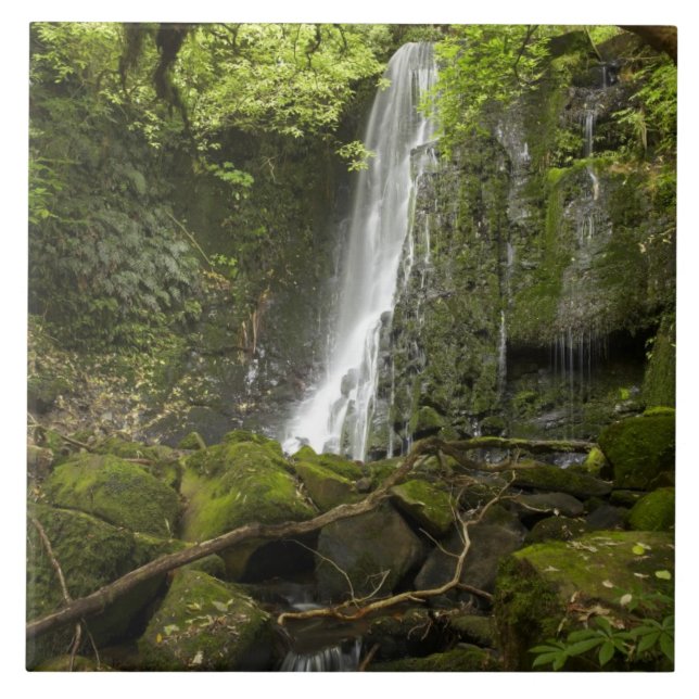 Matai Falls, Catlins, South Otago Kakelplatta (Framsidan)
