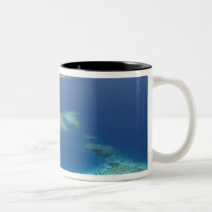 Matamanoa Island och korallrev, Mamanuca Island Två-Tonad Mugg