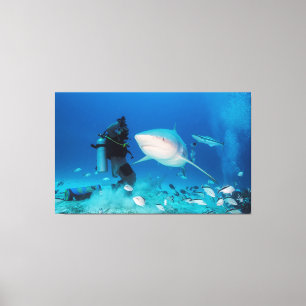 Matande av Bull Canvastryck