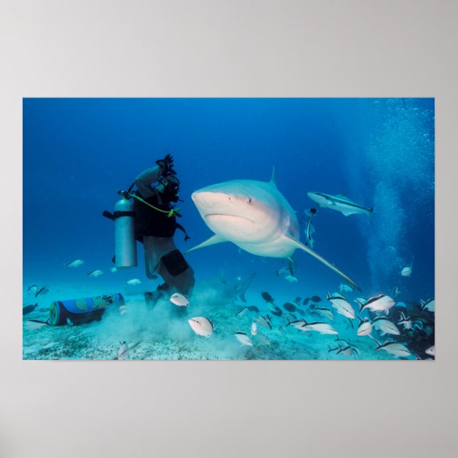 Matande av Bull Poster (Framsidan)