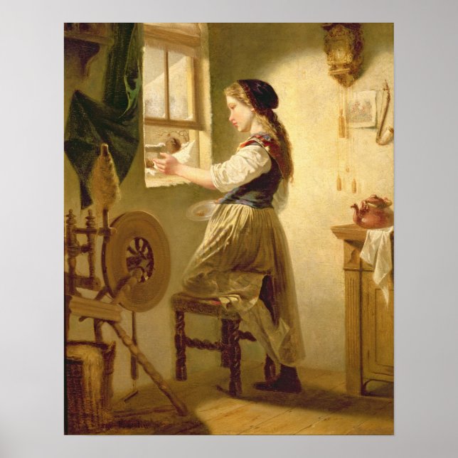 Matande av fåglar på vinter poster (Framsidan)