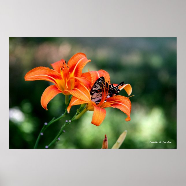 Matande av tidpunkt vid Lillies 4 Poster (Framsidan)