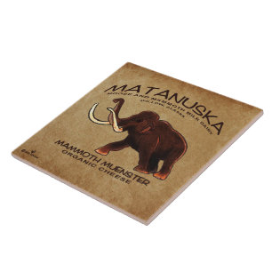 Matanuska Mammoth Muenster Cheese Kakelplatta