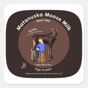 Matanuska Moose Mjölk Fyrkantigt Klistermärke