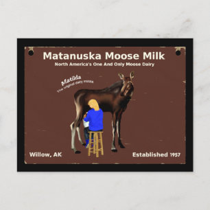 Matanuska Moose Mjölk Vykort
