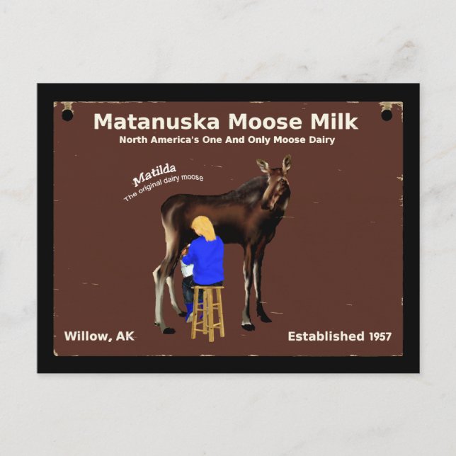 Matanuska Moose Mjölk Vykort (Framsida)