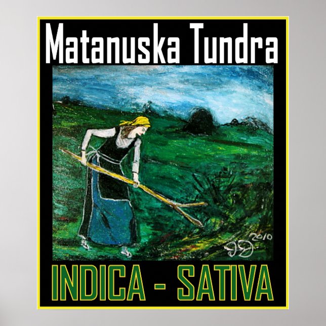 MATANUSKA TUNDRA INDICA SATIVA POSTER (Framsidan)