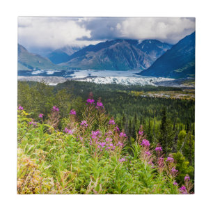Matanuska Valley, Southcentral Alaska Kakelplatta