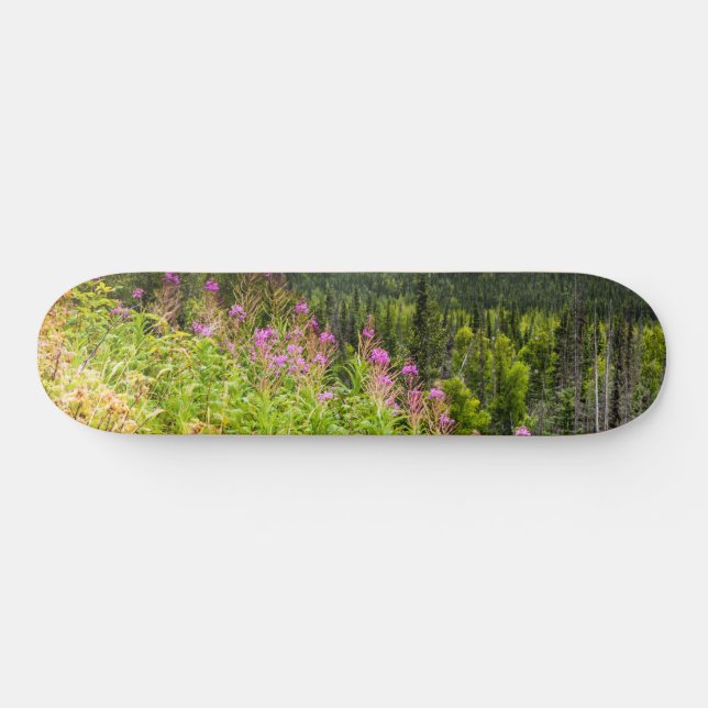 Matanuska Valley, Southcentral Alaska Mini Skateboard Bräda 18,5 Cm (Horz)
