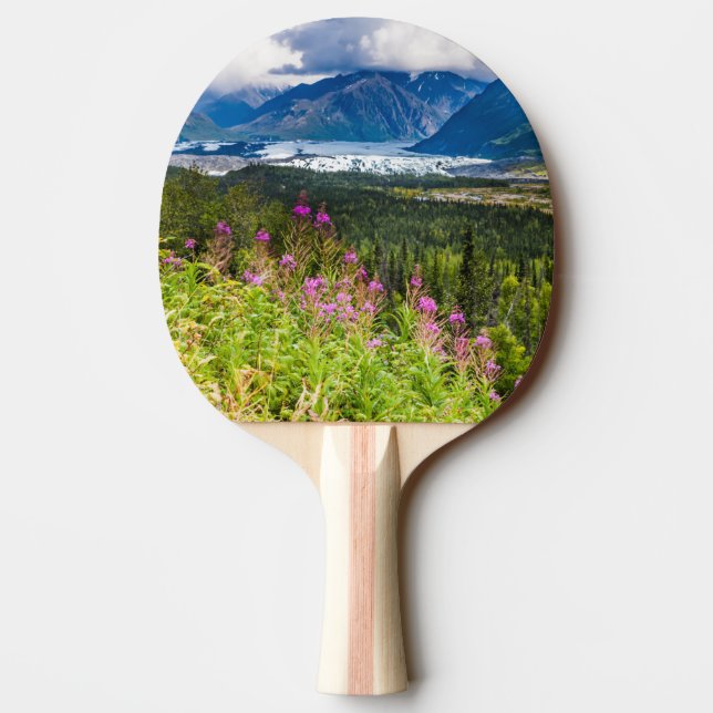 Matanuska Valley, Southcentral Alaska Pingisracket (Baksidan)