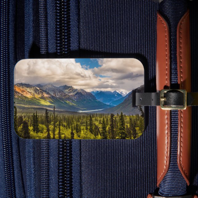 Matanuskalen, södra Alaska #2 Bagagebricka (Framsida Insitu 4)