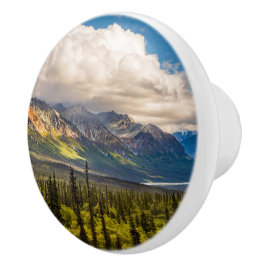 Matanuskalen, södra Alaska #2 Knopp