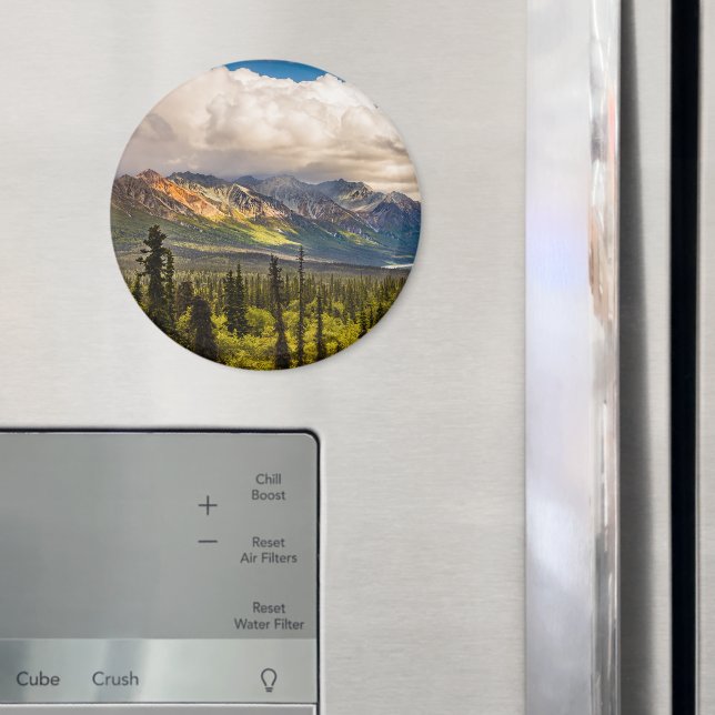 Matanuskalen, södra Alaska #2 Magnet (In Situ (Fridge))