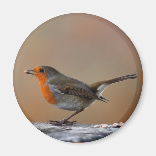 Matar Robin Magnet (Framsidan)