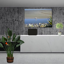 Matar Royal Spoonbill