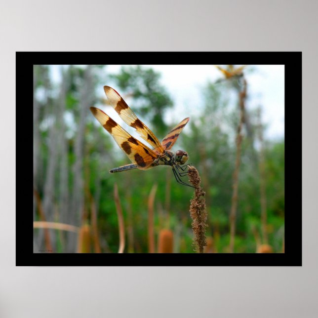 Matar tid poster (Framsidan)