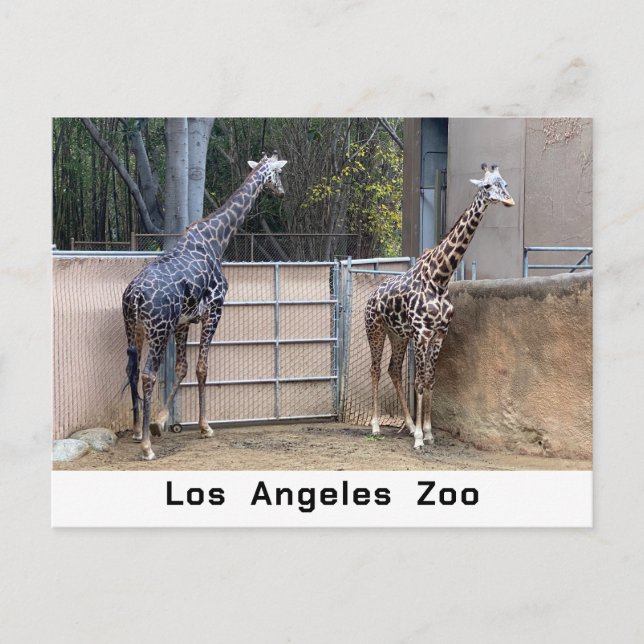 Matar tid vykort (Framsida)