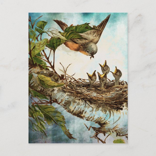 MATAR TID VYKORT (Framsida)