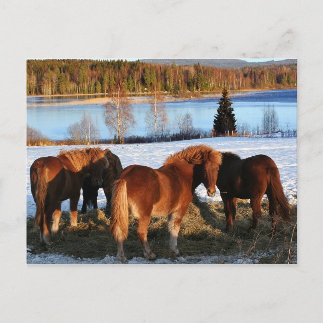 Matar tid vykort (Framsida)