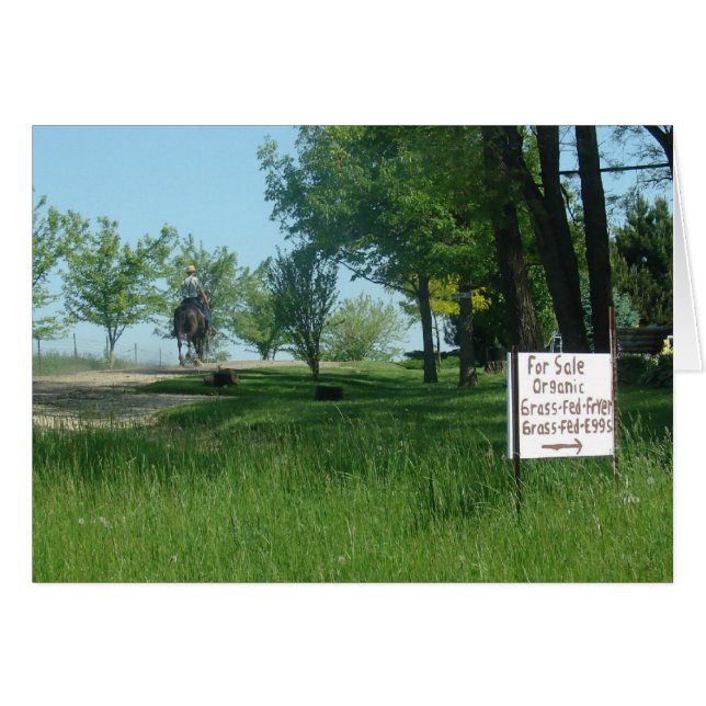 Matat ekologiska ägg från gräs hälsningskort (Framsidan Horizontal)