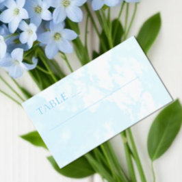 Match Made In Heaven Wedding Placeringskort