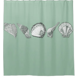 Matcha all bakgrundsbild Hand plockade Seashell Ar