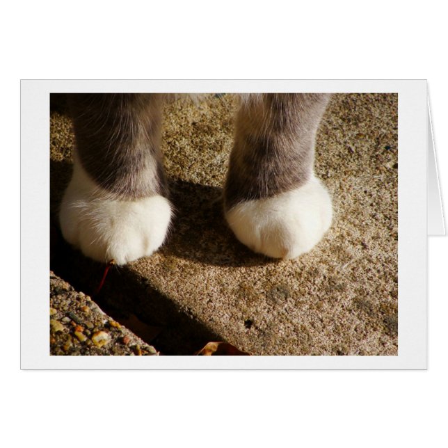 Matchande socklar OBS kort (Framsidan Horizontal)