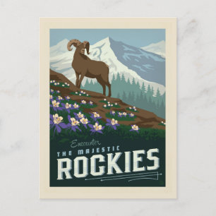 Matchens blommor Rockies Vykort
