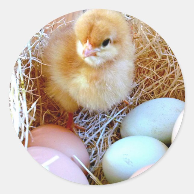 Matching Påsk Sticker Runt Klistermärke (Framsida)