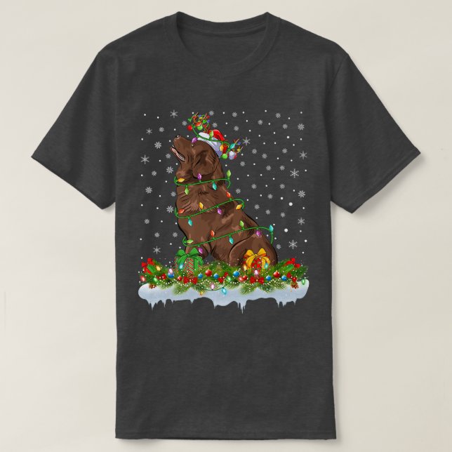 Matching Xmas Lighting Santa Newfoundland Dog Chri T Shirt (Design framsida)