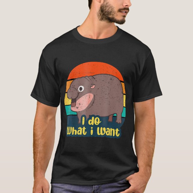 Matchning av vintage t shirt (Framsida)