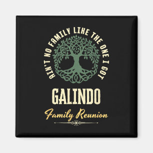Matchningsdesign för Family Reunion 2025 - Galindo Magnet