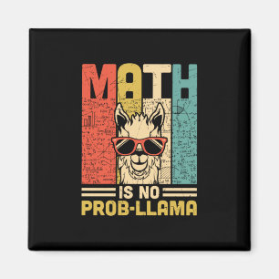 Matematisk lärarmatur är inget problem magnet