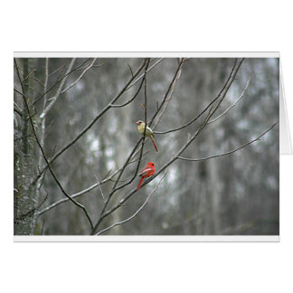 Mater för livet hälsningskort