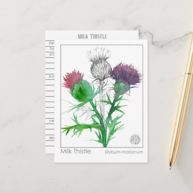Materia Medica Mjölk Thistle Herbal Study Card Vykort (Fram/Back In Situ)