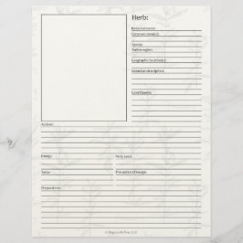 Materia Medica Plant Herbal Study Page Blank Brevhuvud