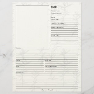 Materia Medica Plant Herbal Study Page Blank Brevhuvud