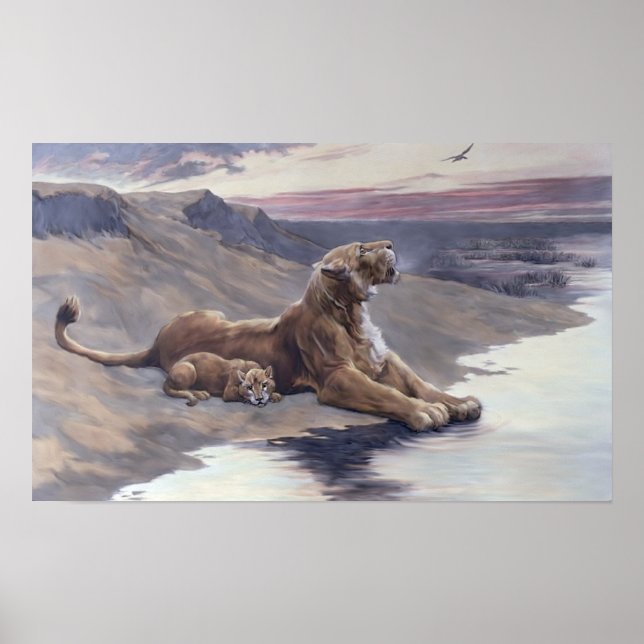 Maternal Care Poster (Framsidan)