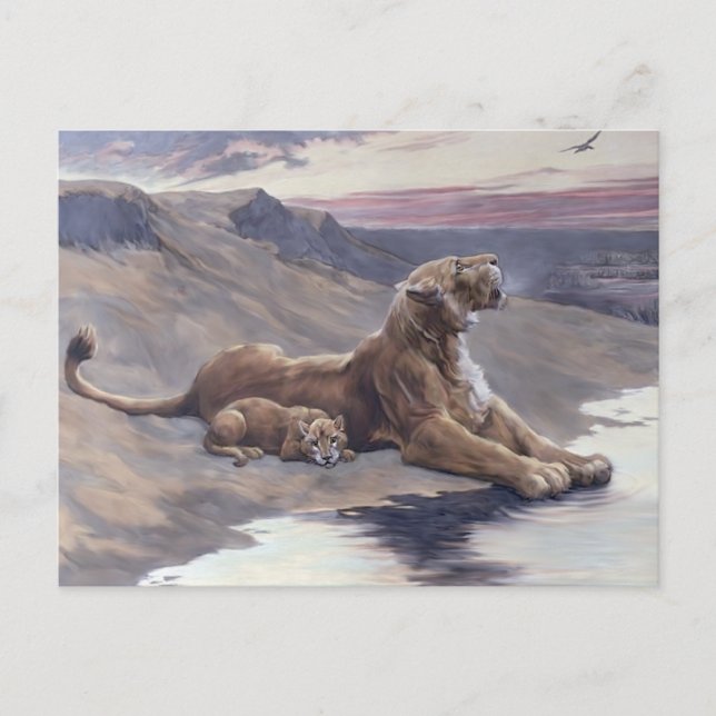 Maternal Care Vykort (Framsida)