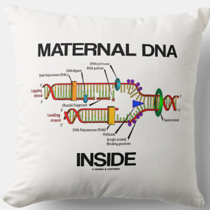 Maternellt DNA Insida Genetisk DNA-replikering Hum Kudde