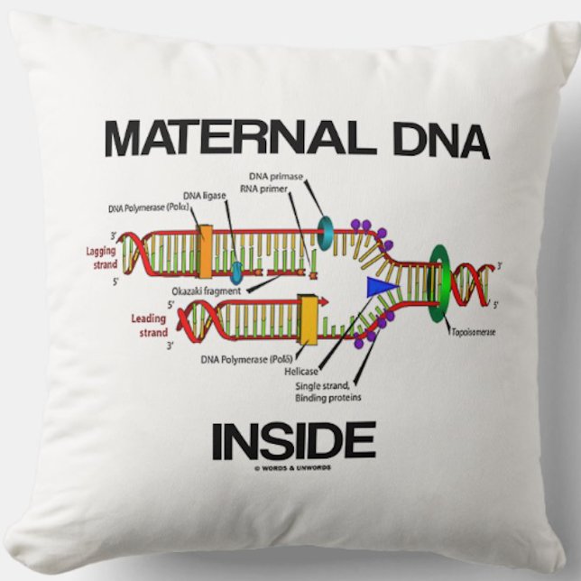 Maternellt DNA Insida Genetisk DNA-replikering Hum Kudde (Throw pillow for anyone with maternal DNA inside & that means you!)